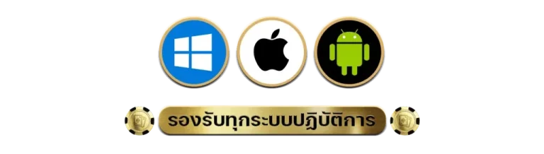เว็บเดิมพันรองรับทุกระบบ